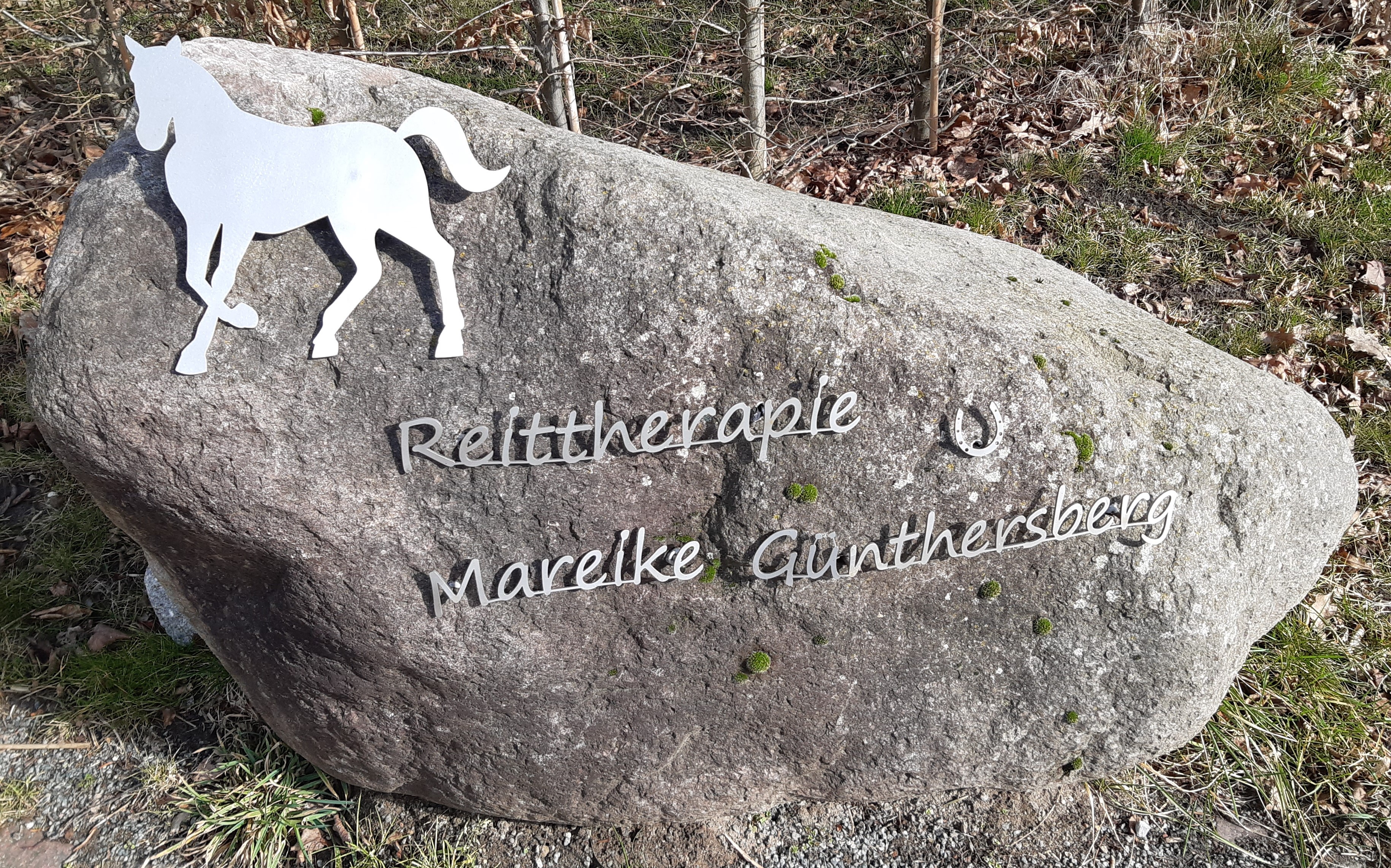 Schild Reittherapie